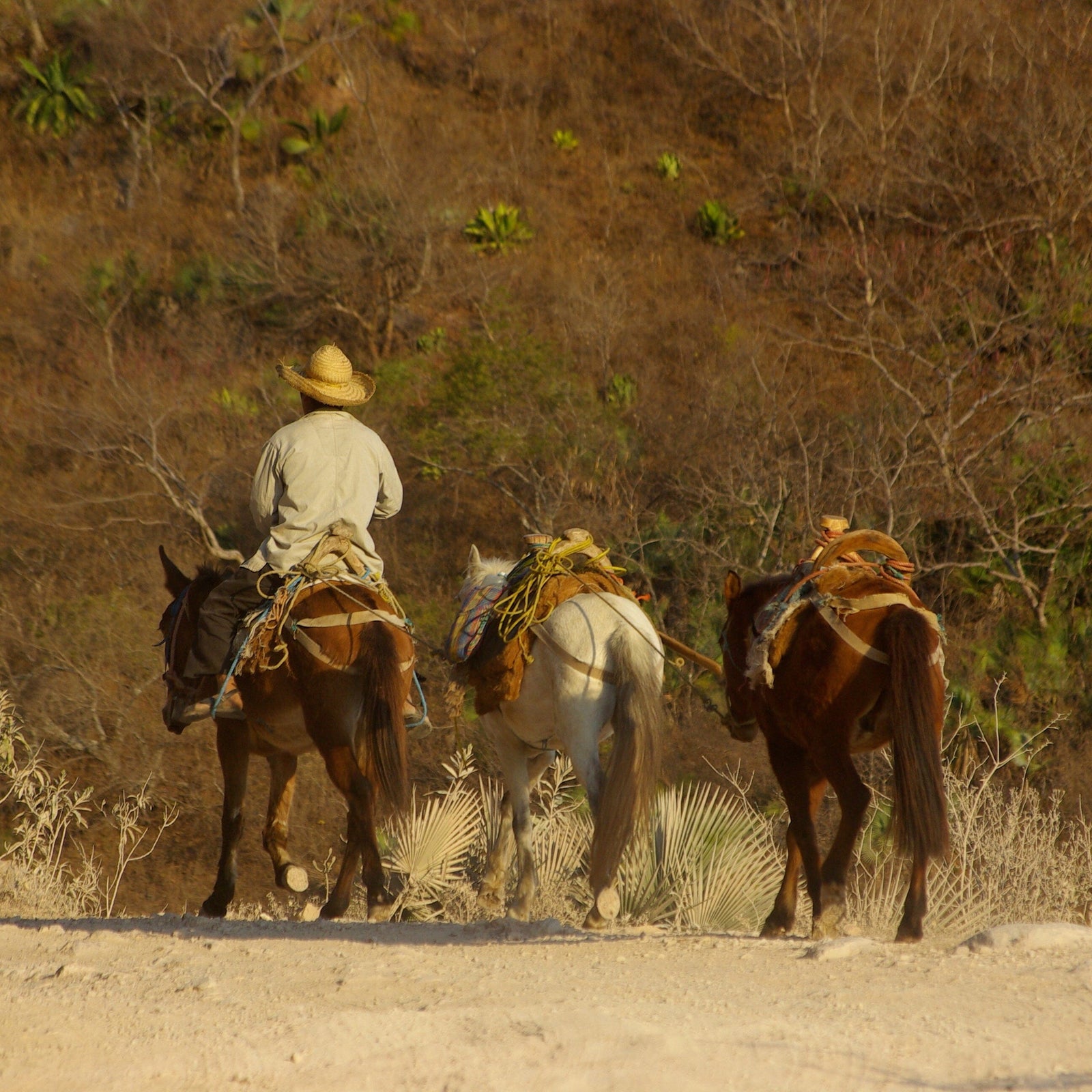 Makaua Tortillero Basket Makaua 