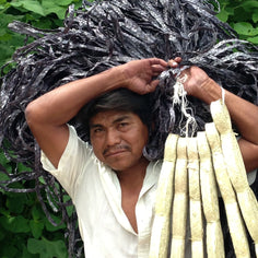 Makaua Tortillero Basket Makaua 
