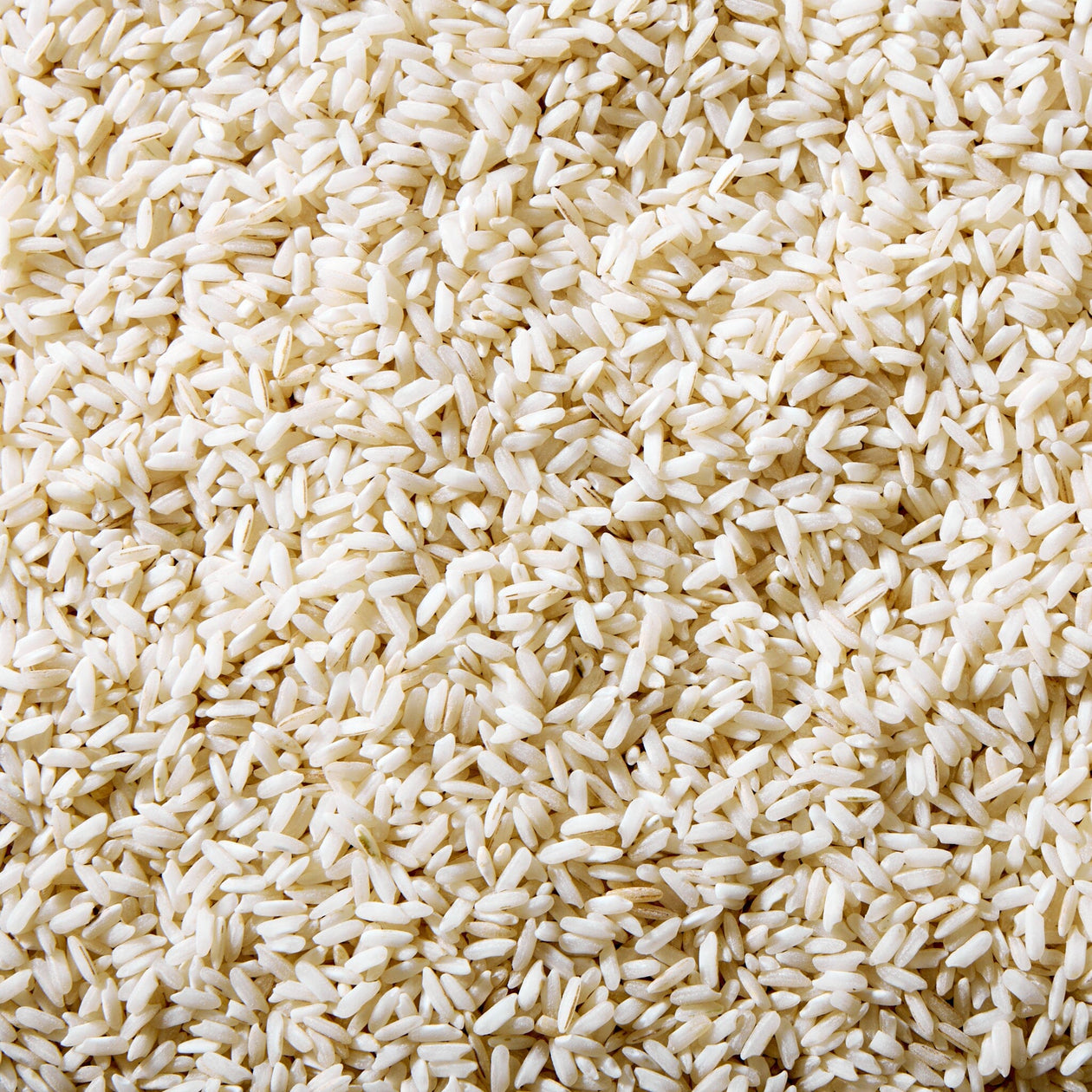 Marsh Hen Mill Carolina Gold Rice Pantry Marsh Hen Mill 