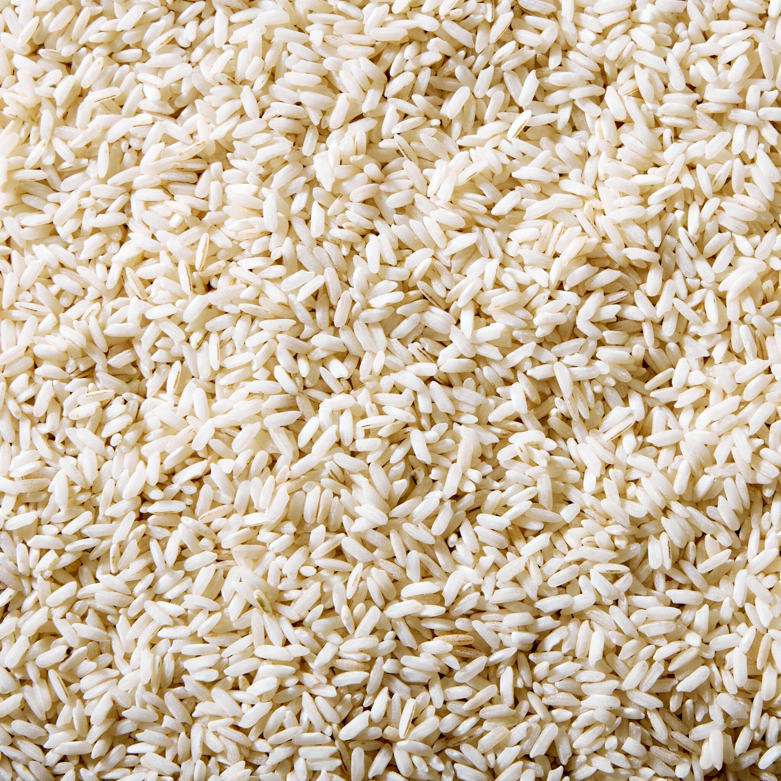 Marsh Hen Mill Carolina Gold Rice Pantry Marsh Hen Mill 