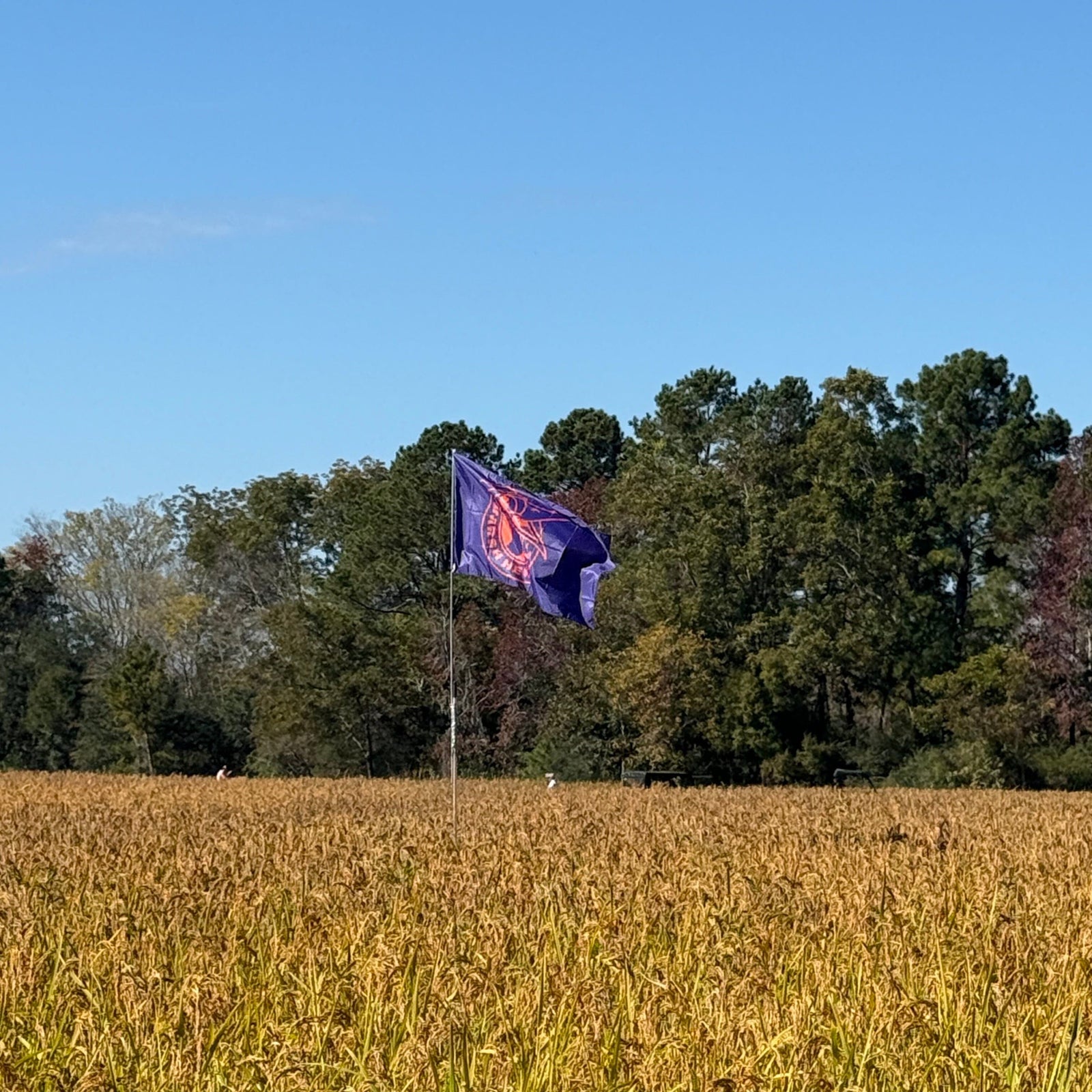 Marsh Hen Mill Carolina Rice 1.5lbs. Pantry Marsh Hen Mill 