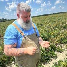 Marsh Hen Mill Yellow Cornmeal 1.5 lb Pantry Marsh Hen Mill 