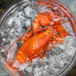 Milk Street Digital Class: A Lobster in Every Pot with Spencer Watts Virtual Class Milk Street Cooking School 