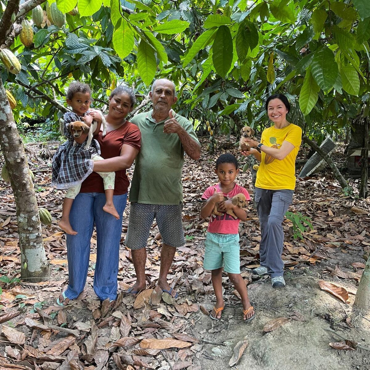 Mission Chocolate Dark Chocolate & Orange Easter Egg Pantry Mission Chocolate 