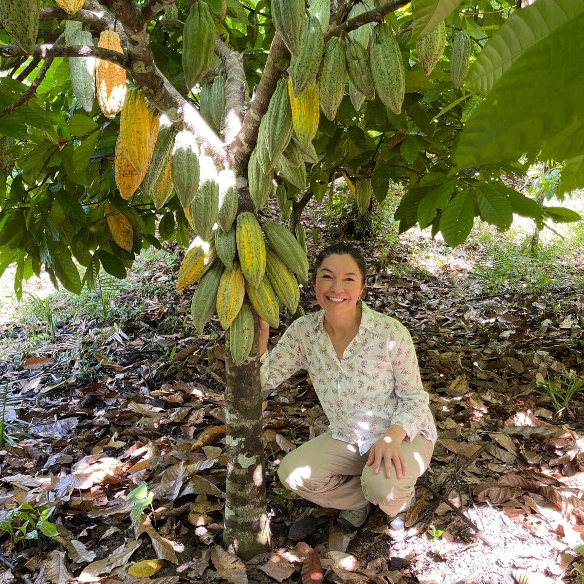 Mission Chocolate Dark Chocolate & Orange Easter Egg Pantry Mission Chocolate 