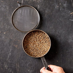 Miya Sesame Seed Roaster Miya Company 