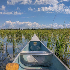 Moose Lake Hand Picked Wood Parched Lake & River Wild Rice Pantry Moose Lake 