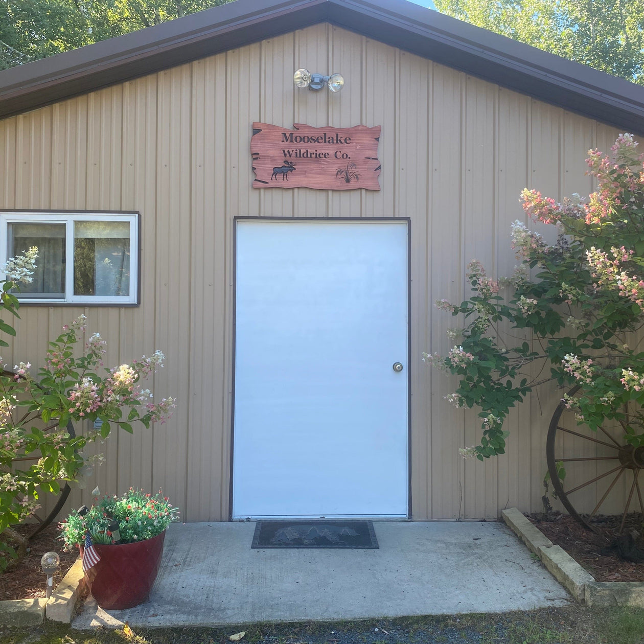 Moose Lake Hand Picked Wood Parched Lake & River Wild Rice Pantry Moose Lake 
