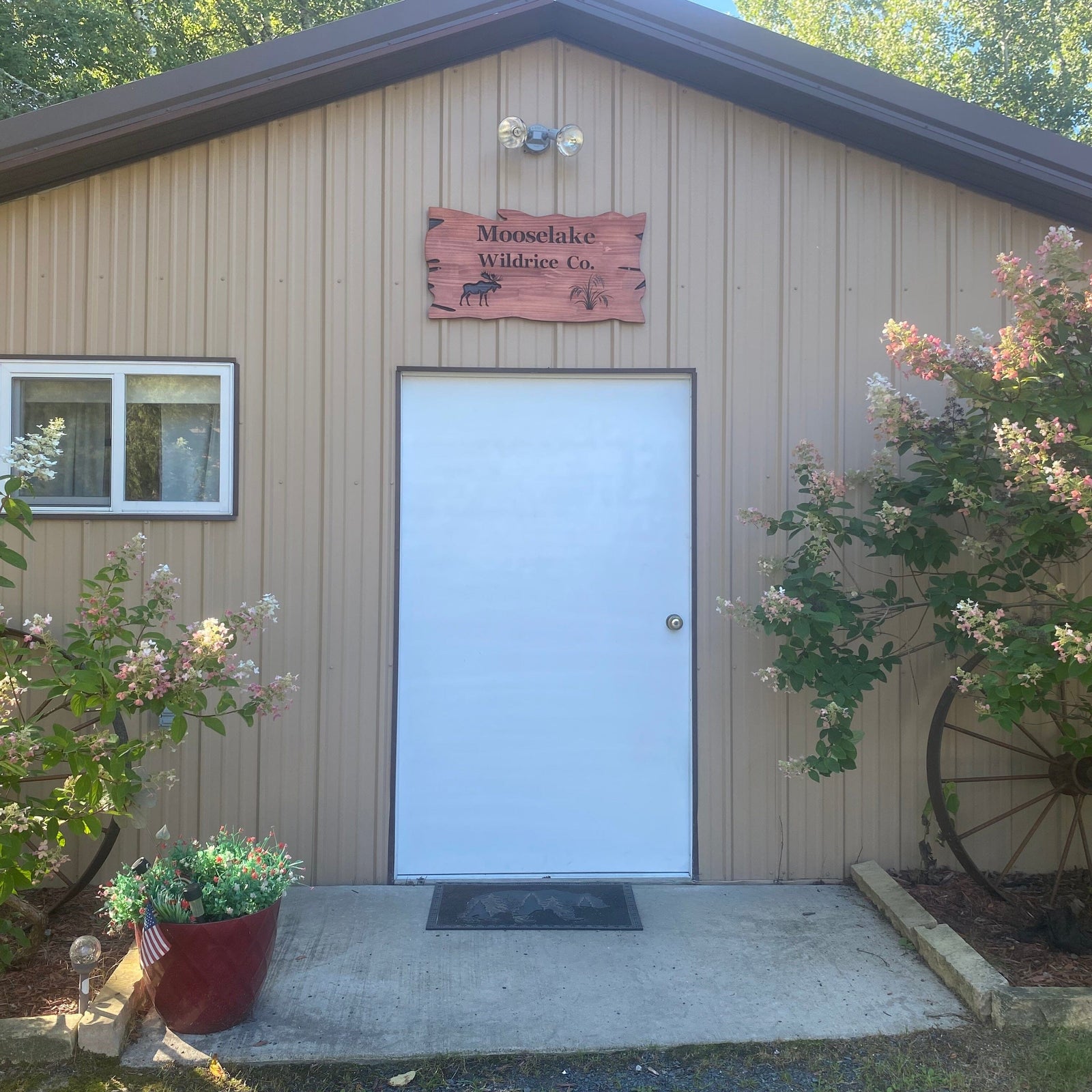 Moose Lake Hand Picked Wood Parched Lake & River Wild Rice Pantry Moose Lake 