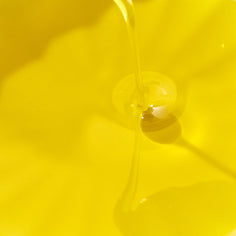 Moulin CastelaS Noir d’Olive Virgin Olive Oil Pantry Roger Collection 