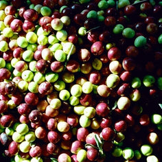 Moulin CastelaS Noir d’Olive Virgin Olive Oil Pantry Roger Collection 