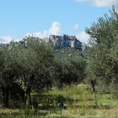 Moulin CastelaS Noir d’Olive Virgin Olive Oil Pantry Roger Collection 