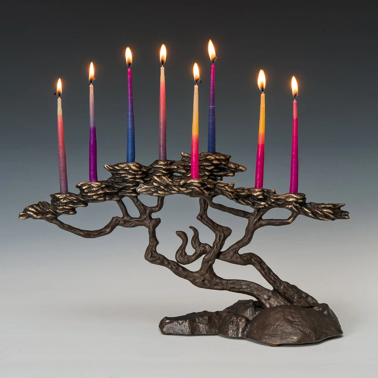 Nelles Studio Monterey Cypress Menorah Nelles Studios 