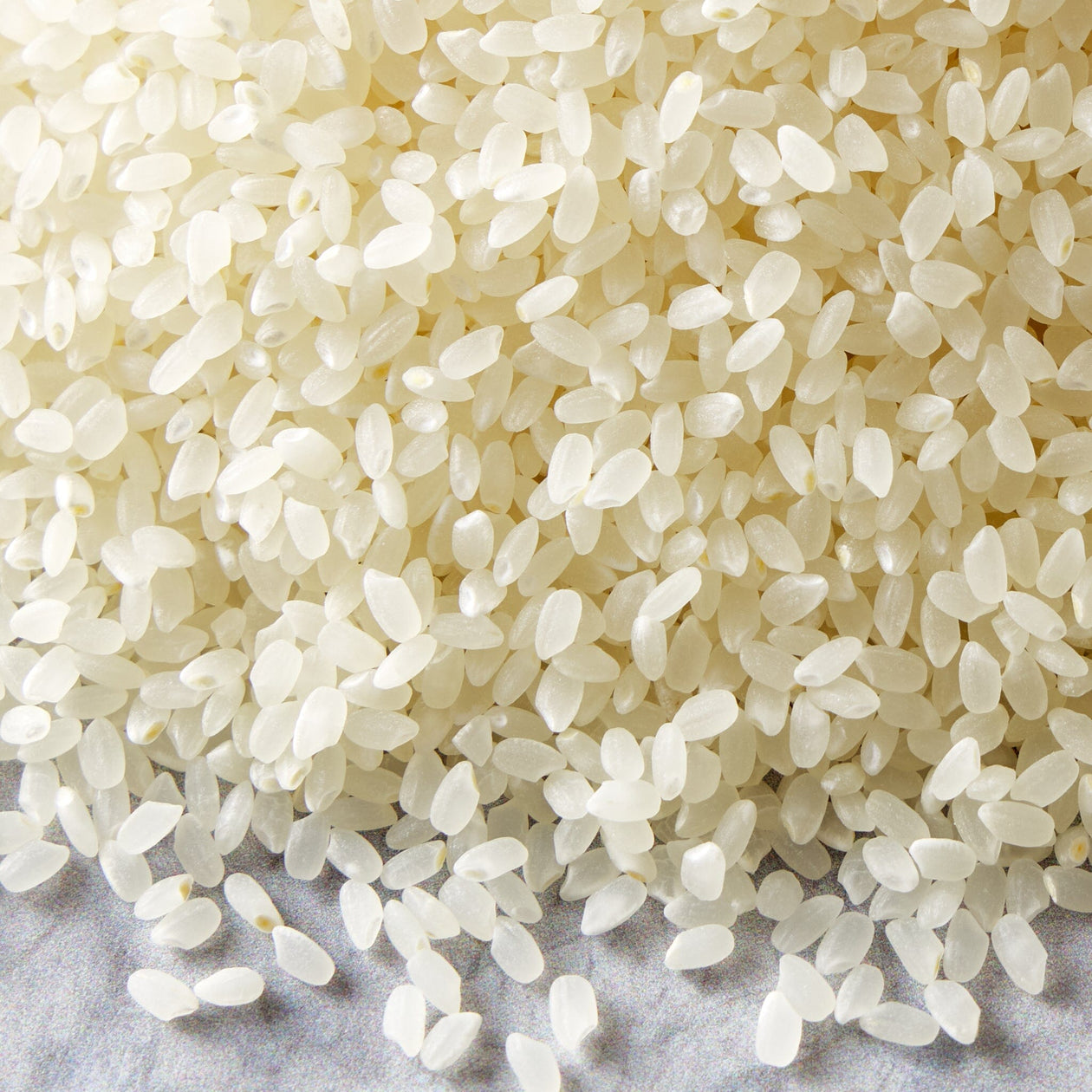 Niigata Koshihikari Japanese White Rice 2lb Pantry The Rice Factory 