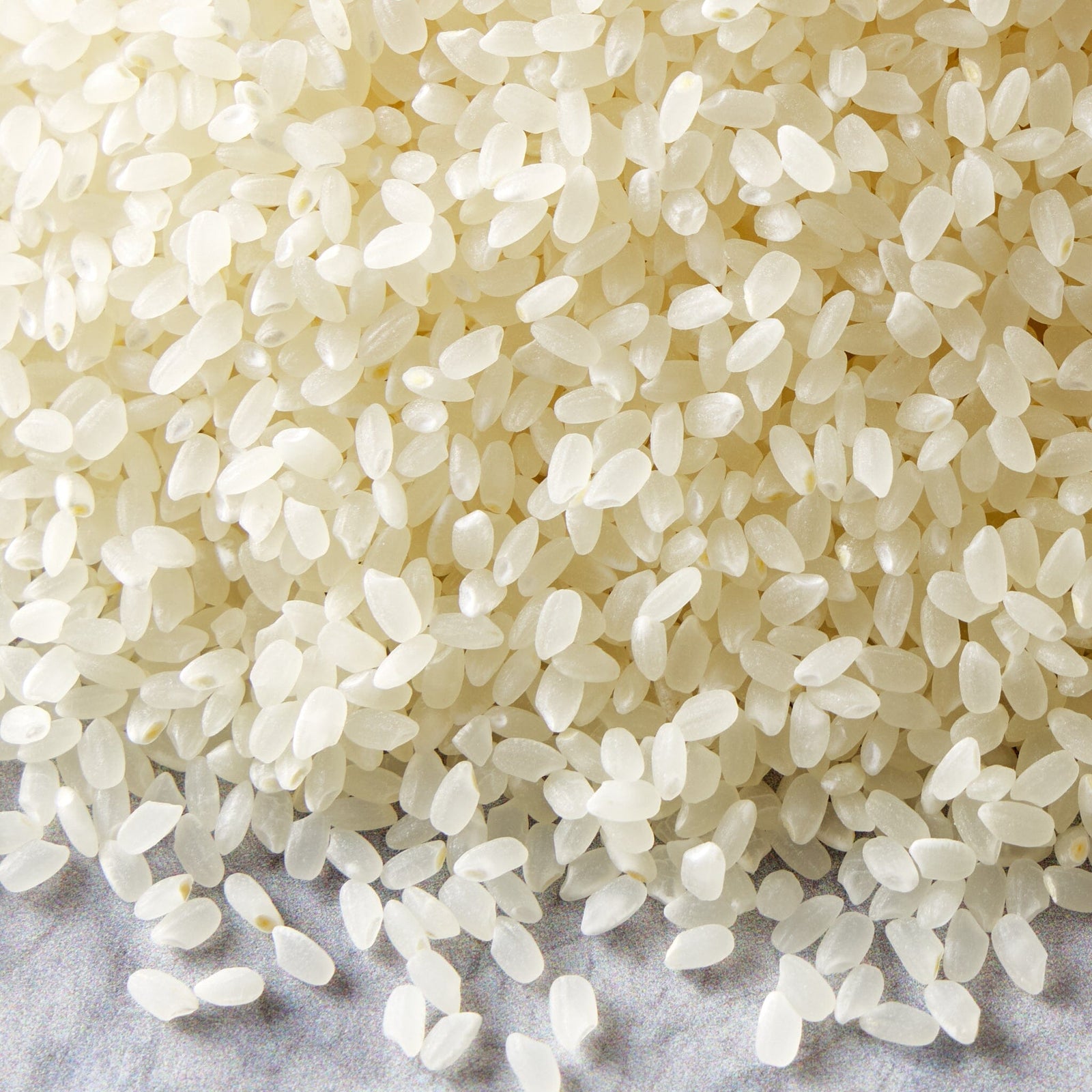 Asian White Rice Shells The Rice Factory Niigata Koshihikari | Milk Street Store