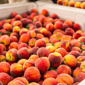 They're Back! Pearson Farm Premium Peaches