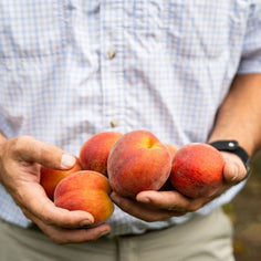 Pearson Farm 'The Farmer's Dozen' Box – 13 Premium Peaches Pantry Pearson Farm 