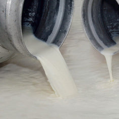 Queijadas de Vila Franca do Campo Do Morgado (Custards) 6piece Pantry Portugalia Marketplace 