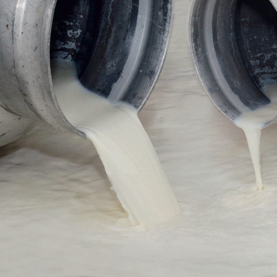 Queijadas de Vila Franca do Campo Do Morgado (Custards) 6piece Pantry Portugalia Marketplace 