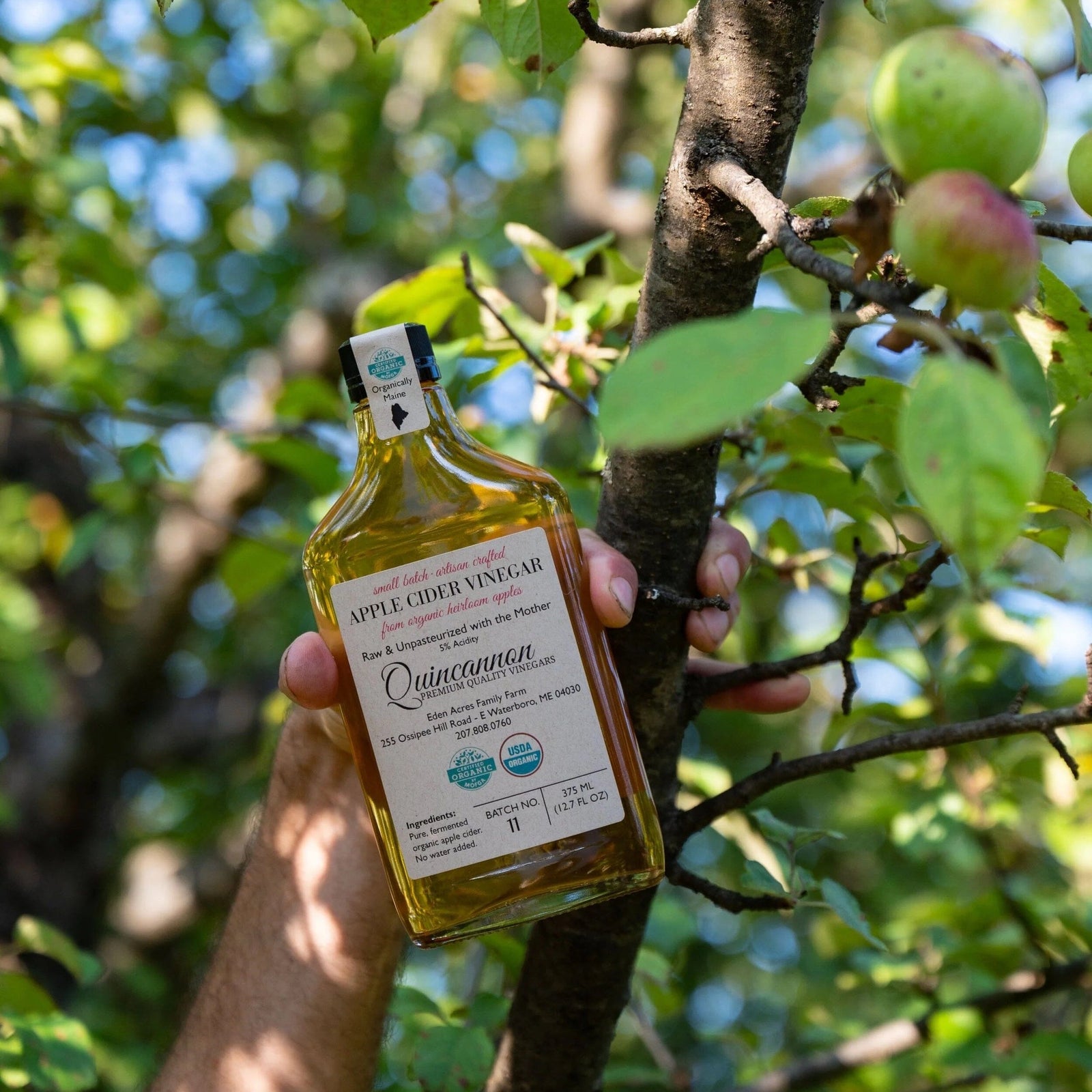 Quincannon Organic Apple Cider Vinegar Pantry Eden Farm 