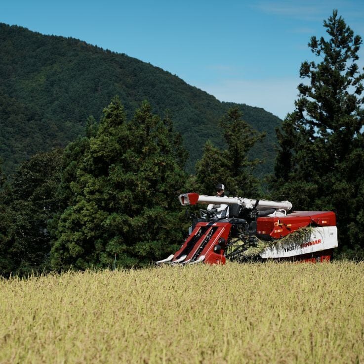 Rice Factory 10% Milled - Nagano Sasashigure - 2025 Crop Fresh Dropship The Rice Factory 