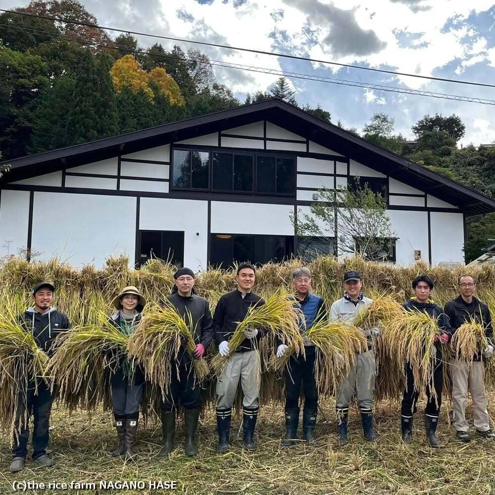 Rice Factory 10% Milled - Nagano Sasashigure - 2025 Crop Fresh Dropship The Rice Factory 