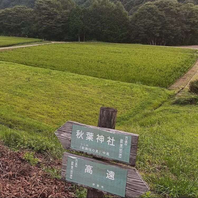 Rice Factory 10% Milled - Nagano Sasashigure - 2025 Crop Fresh Dropship The Rice Factory 