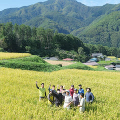 Rice Factory 10% Milled - Nagano Sasashigure - 2025 Crop Fresh Dropship The Rice Factory 