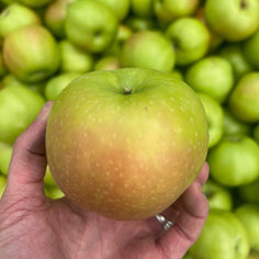 Scott Farm Heirloom Apple Baker's Box Pantry Scott Farm 