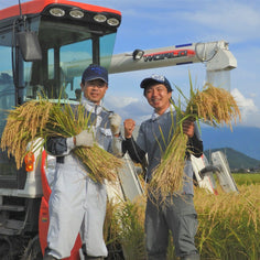 The Rice Factory Niigata Koshihikari Pantry The Rice Factory 