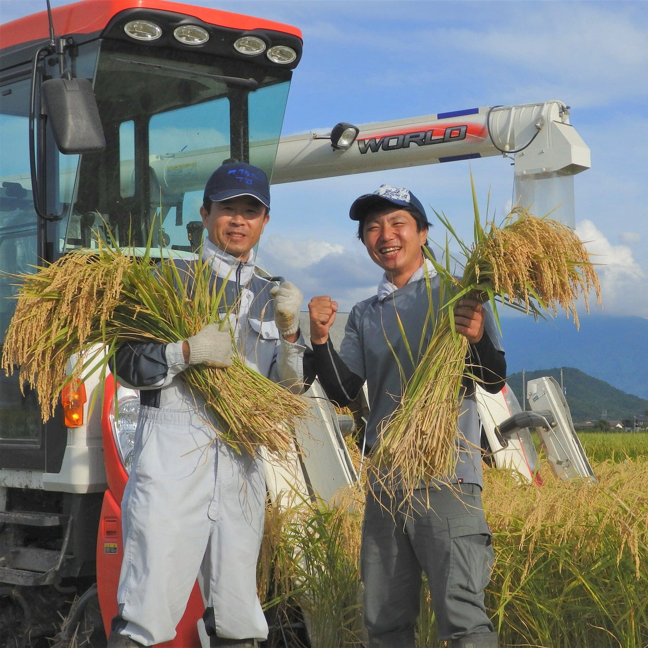 The Rice Factory Niigata Koshihikari Pantry The Rice Factory 