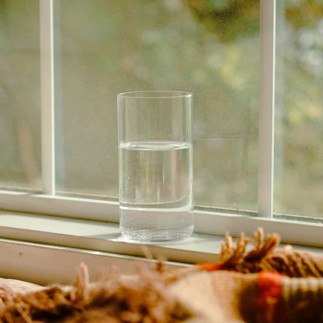 The Tall Glasses by Fable - Set of 4 Tabletop Fable 