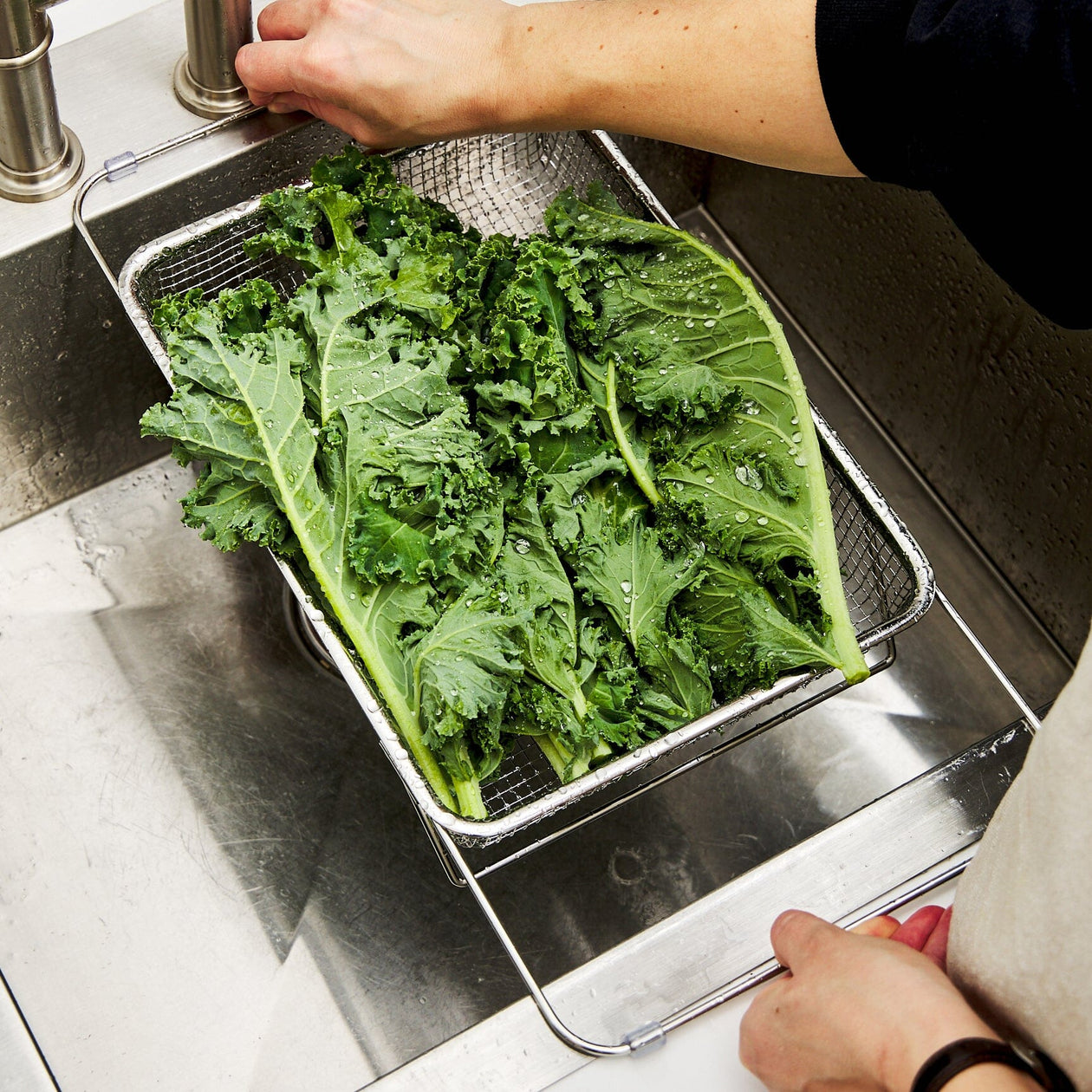 Wagensteiger Extendable Over-the-Sink Colander Equipment Wagensteiger 