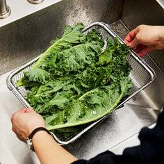 Wagensteiger Extendable Over-the-Sink Colander Equipment Wagensteiger 