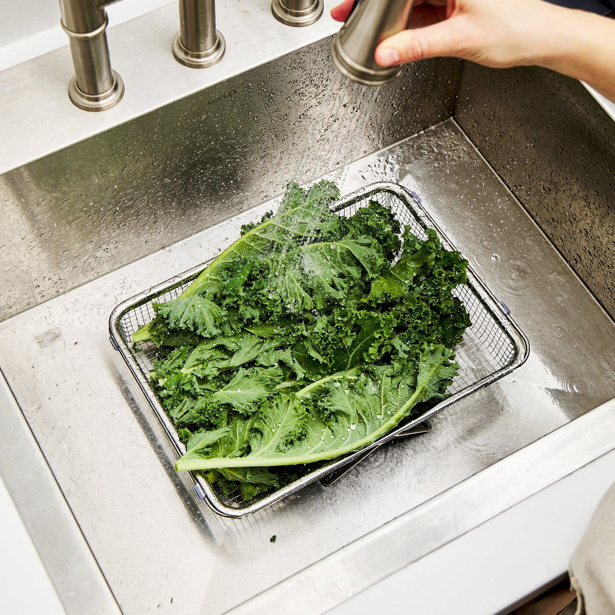 Wagensteiger Extendable Over-the-Sink Colander Equipment Wagensteiger 