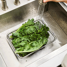 Wagensteiger Extendable Over-the-Sink Colander Equipment Wagensteiger 