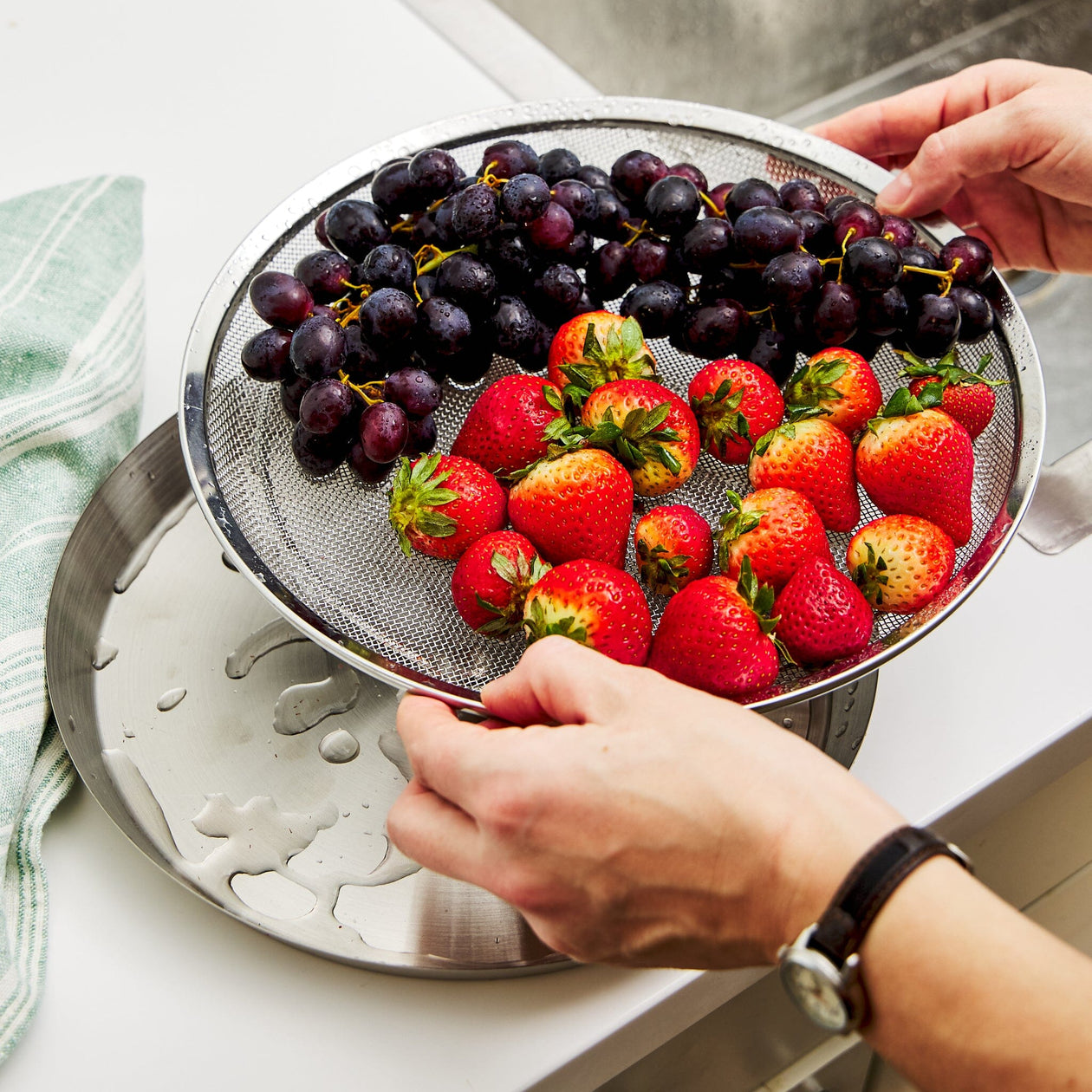 Wagensteiger Stainless Steel Mesh Tray Set with Drip Pan 28cm Wagensteiger 
