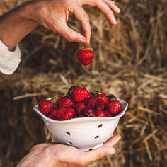 Windrow Berry Bowl Pottery Farmhouse Pottery 