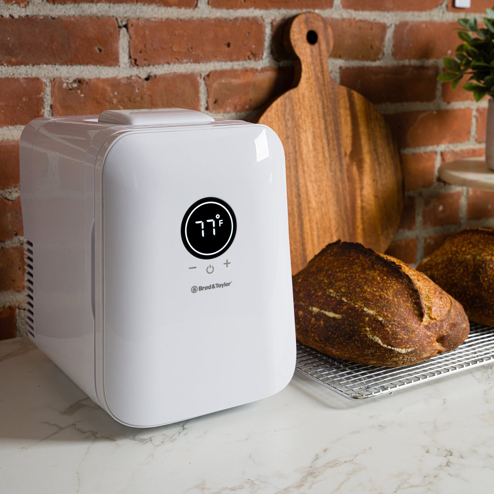 Brod & Taylor Sourdough Home Equipment Brod & Taylor 